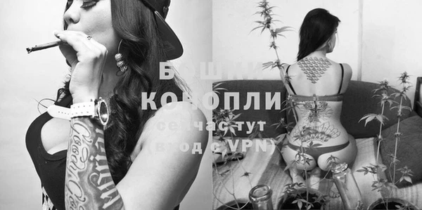 спиды Верея