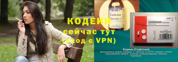 сатива Ростов