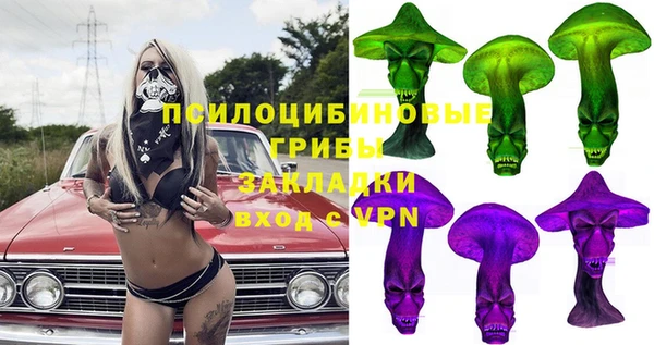 спиды Верея