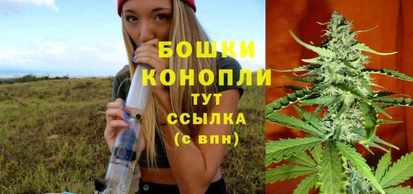 спиды Верея